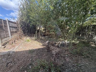 Picture 14